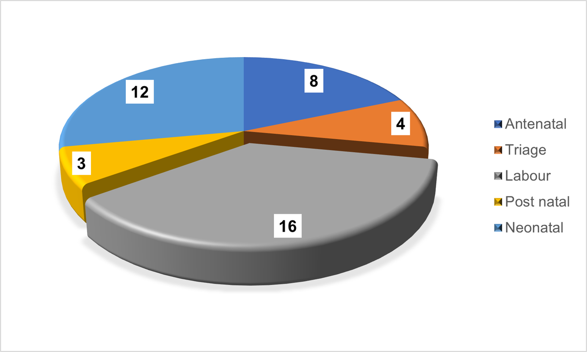 Figure 4 shows a pie chart detailing the stages of pregnancy in which the reported safety concern occurred.