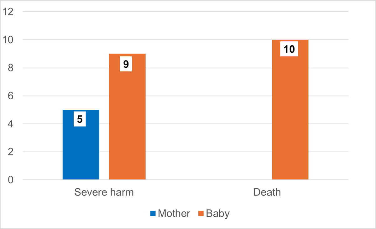 Figure 3 shows a bar chart showing the total number of incidents where death or serious harm had occurred.